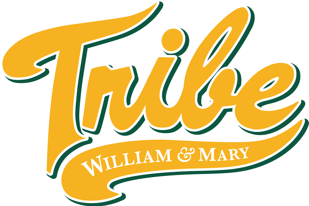 William and Mary Tribe 2016-2017 Alternate Logo v2 DIY iron on transfer (heat transfer)